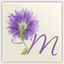 memoryguard.us