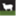woolleyslamb.ca