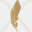 exixiz.com