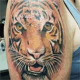 luftsportverein-regensburg.de