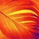 cedarphoenix.ca