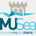 museovivodelmare.it