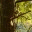 capturedsunlight.wordpress.com