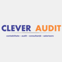 cleveraudit.ro