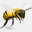 debbeesbees.ca