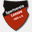 tt-lonsee.de