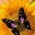mothernatureisaman.com