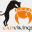 canvikings.cat