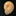 foraminifera.eu