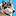 wolfacademy-bramsche.de