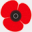 poppyfactory.org