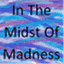 inthemidstofmadness.wordpress.com