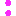 signedsindbaek.dk