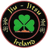 jiulong-hospital.com