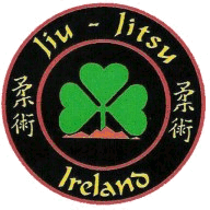 jiulong-hospital.com