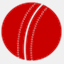 dunedincricket.koru.firebrand.co.nz