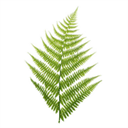 chrisknott.co.uk