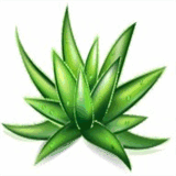 bronstring.net