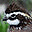 onedayfarm.net