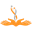 hnclife.net