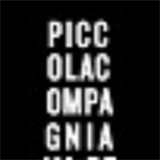 picturesandglass.com