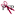 paradisewon.com