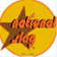 nationalslag.com