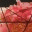 ariannekrekeler.wordpress.com