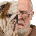 facesofdogs.com