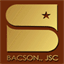 bacsongroup.vn