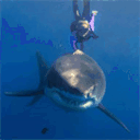 oceantanning.org