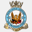 733sqn.co.uk