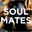soulmates-thebook.com