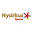 nysirkusbjerke.com