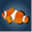 fishtanks.net.au