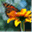 virgiemae.wordpress.com