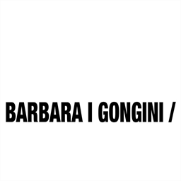 barbaraigongini.dk