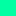 dummermuth.net