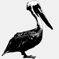 pelikanperformance.com