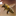 flatheadhoney.com