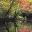 conservandolonuestro.wordpress.com