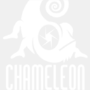 chameleonstudiocr.com