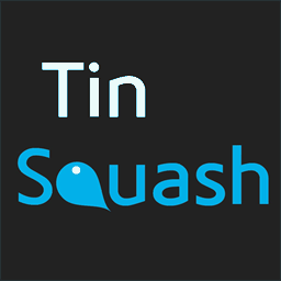 tinsquash.com