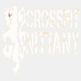 crossfitnittany.com