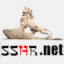 130173.sshr.net