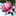 ancientyogacenter.org