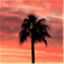 iguessiwriteforfree.com