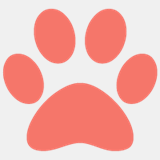 headtotailpetspa.com