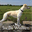 shojinkennels.com