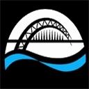 newcastleswimteam.co.uk